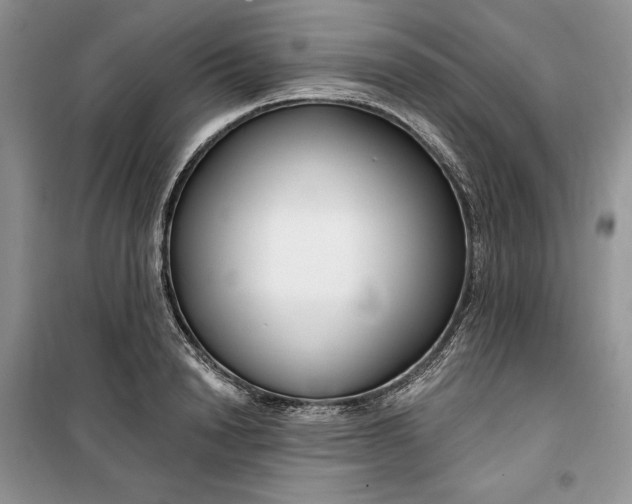 X0000099520846200805291209