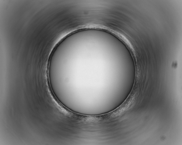 X0000099520847200805291209