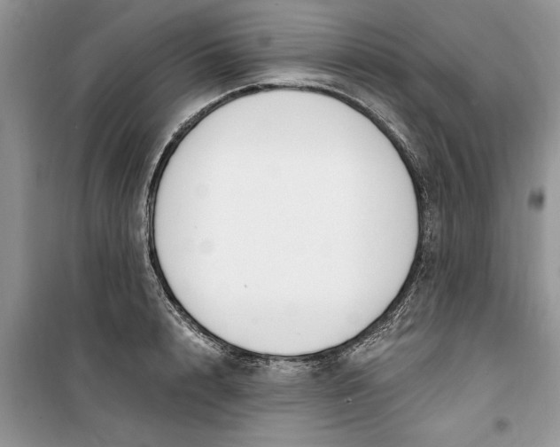 X0000099520848200805291209