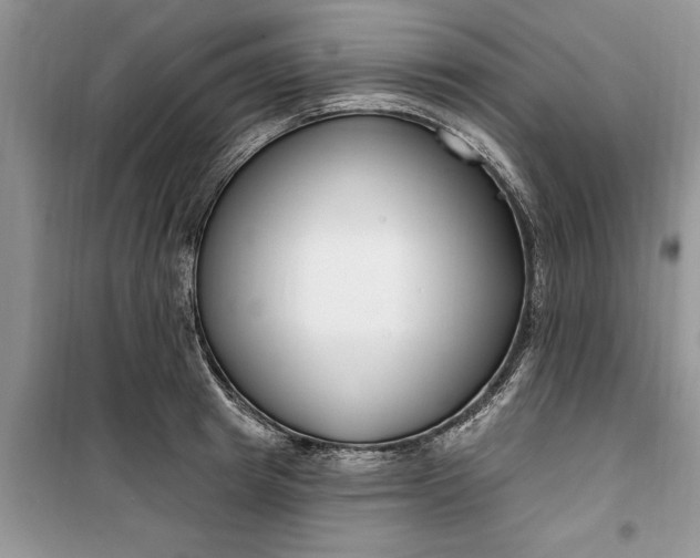 X0000099520849200805291209