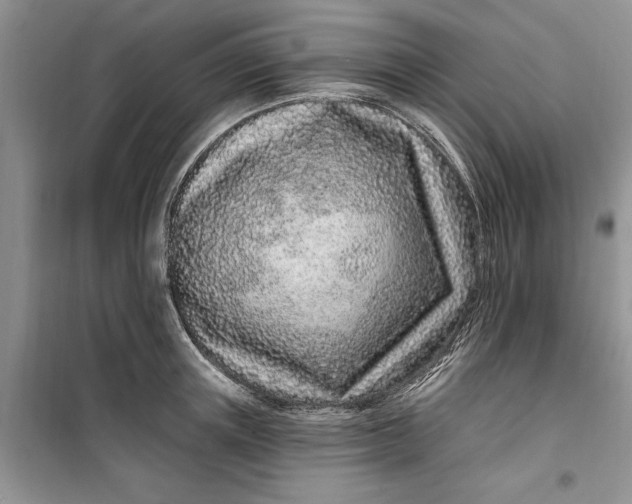 X0000099520851200805291209