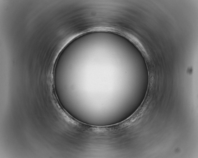 X0000099520852200805291209