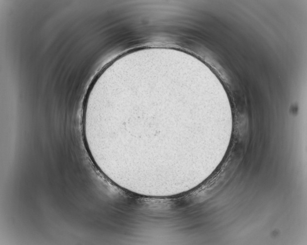 X0000099520856200805291209