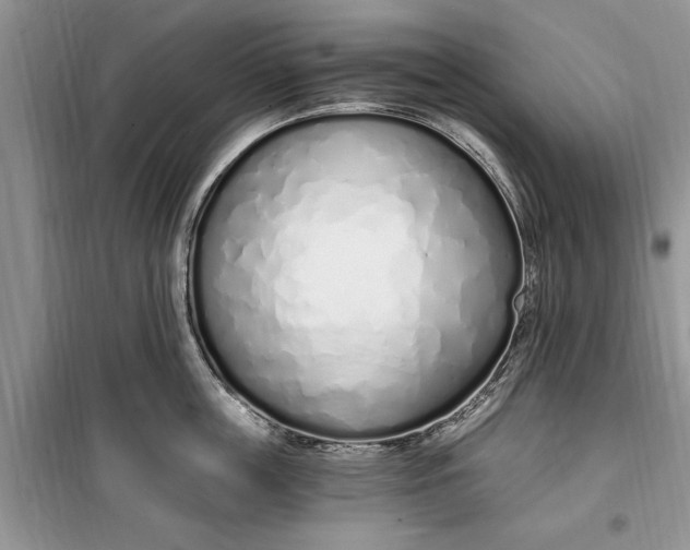 X0000099520859200805291209