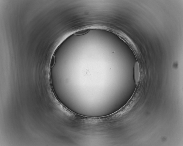 X0000099520860200805291209