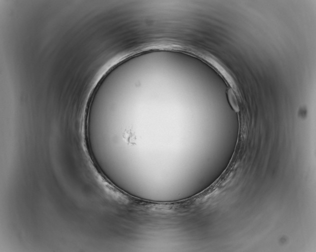 X0000099520861200805291209