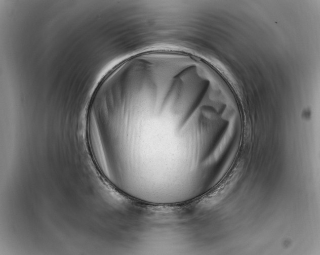 X0000099520862200805291209