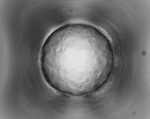 X0000099520863200805291209