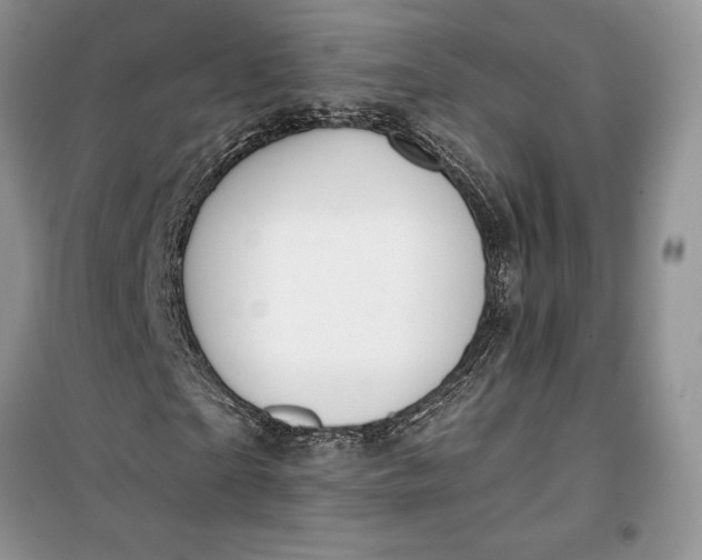 X0000099520865200805291209