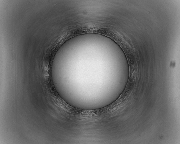 X0000099520866200805291209