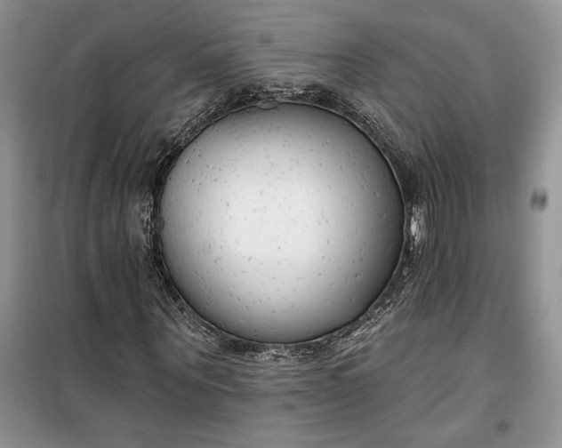 X0000099520867200805291209