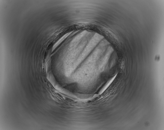 X0000099520868200805291209