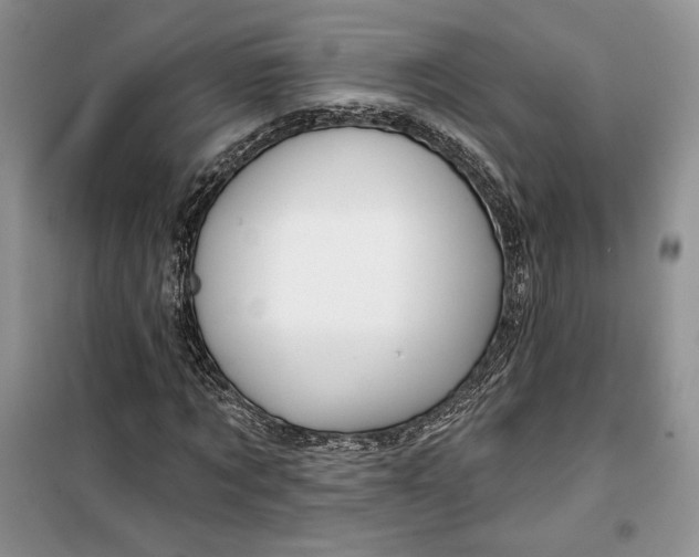 X0000099520869200805291209