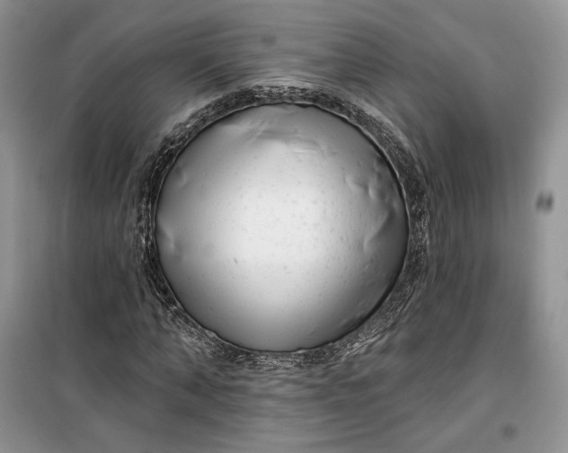 X0000099520870200805291209