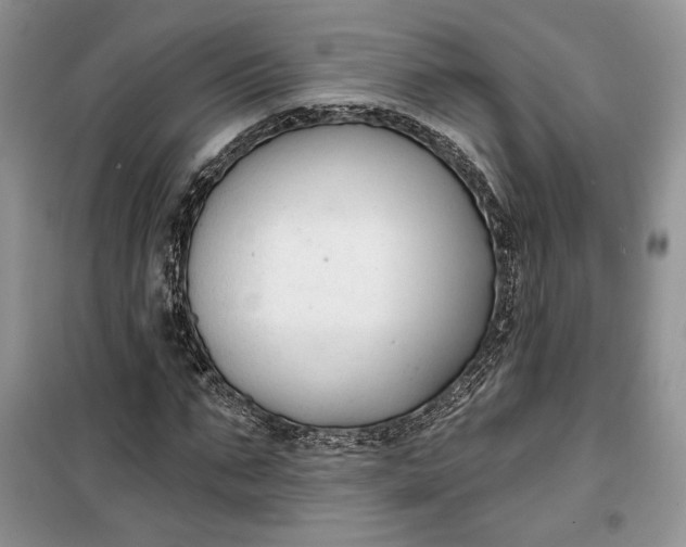 X0000099520871200805291209