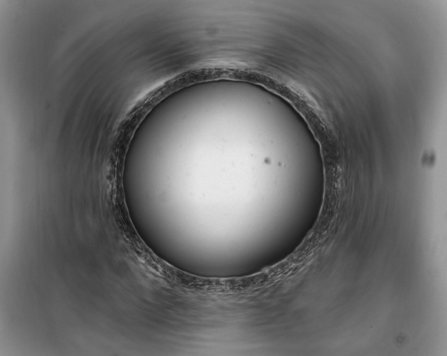 X0000099520872200805291209