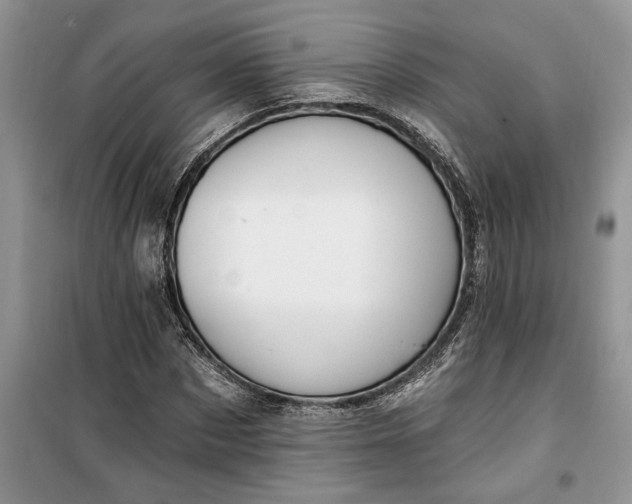 X0000099520873200805291209