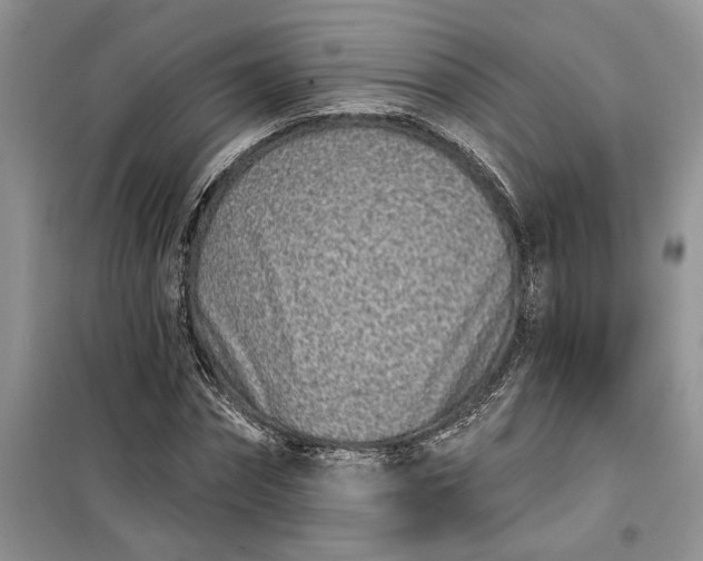 X0000099520874200805291209