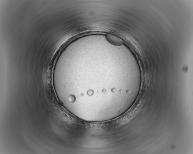 X0000099520875200805291209