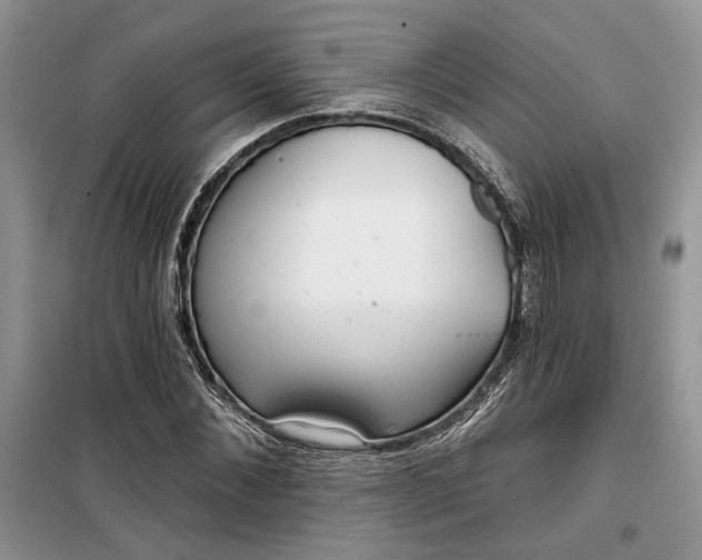 X0000099520876200805291209