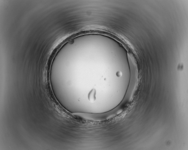 X0000099520877200805291209