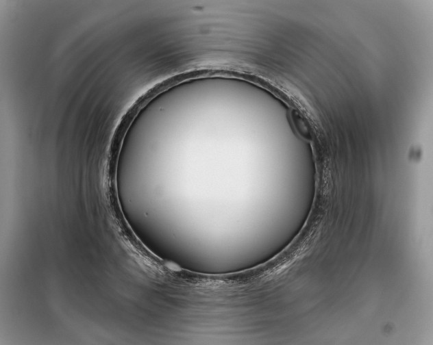 X0000099520880200805291209