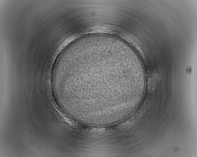 X0000099520882200805291209