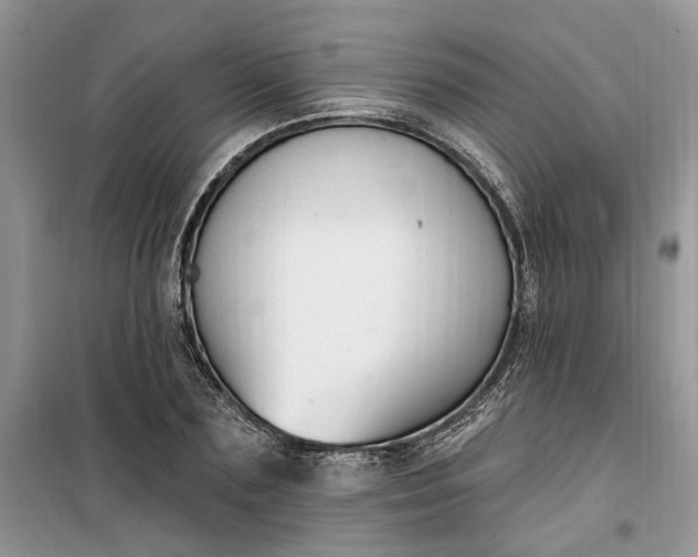 X0000099520883200805291209