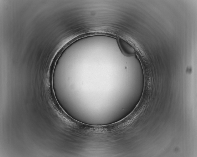 X0000099520884200805291209