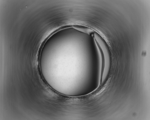 X0000099520885200805291209