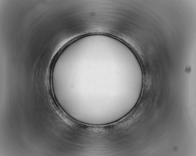 X0000099520886200805291209