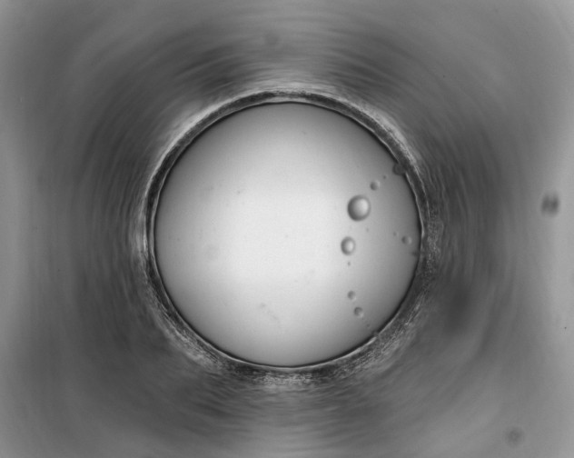 X0000099520887200805291209