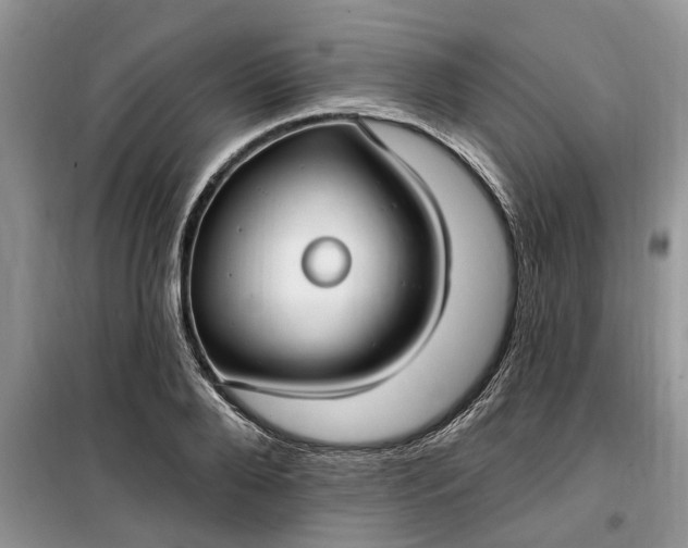 X0000099520888200805291209