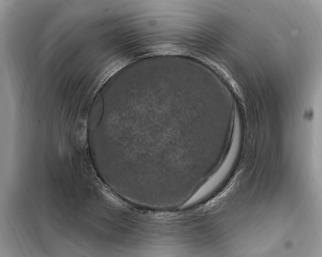 X0000099520889200805291208