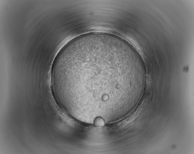 X0000099520891200805291208