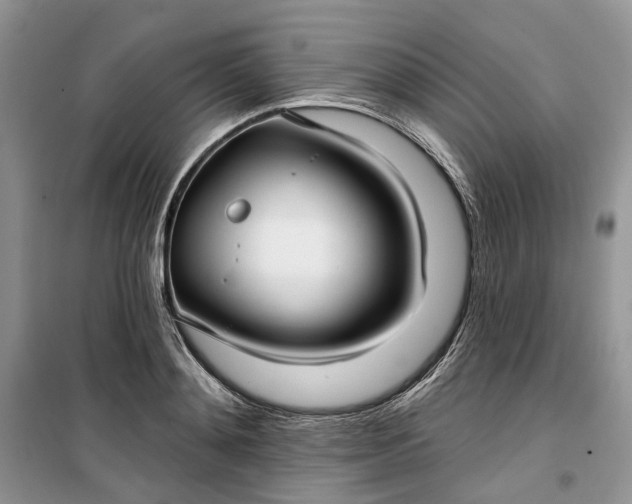 X0000099520892200805291208