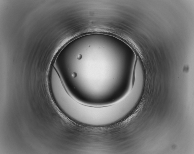 X0000099520893200805291208