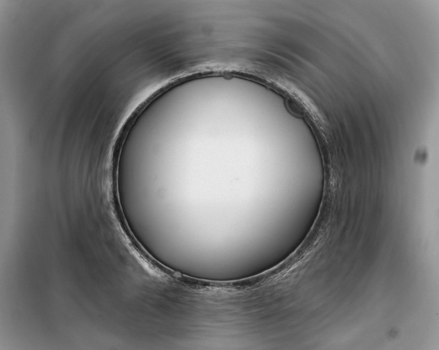 X0000099520894200805291208