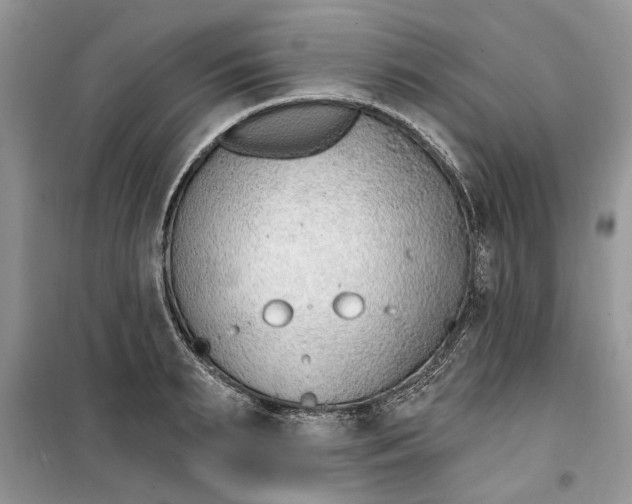 X0000099520895200805291208