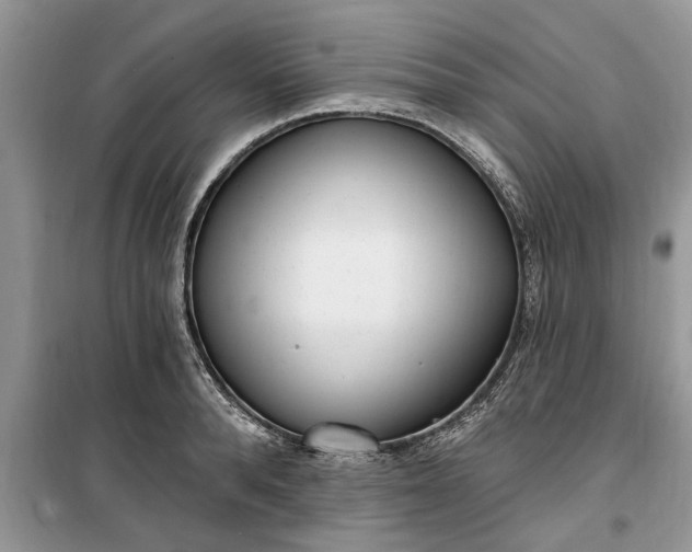 X0000099520896200805291208