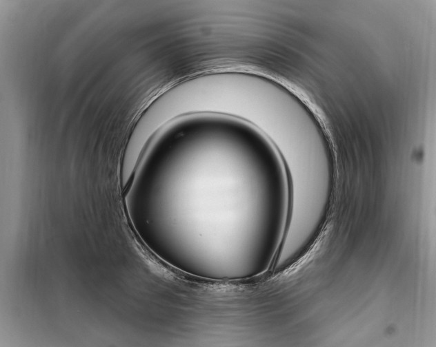 X0000099520897200805291208