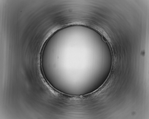 X0000099520898200805291208