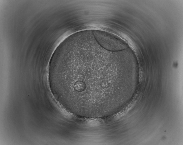 X0000099520899200805291208