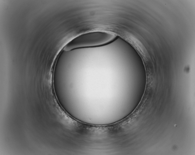 X0000099520900200805291208