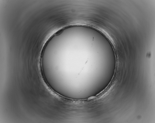 X0000099520901200805291208