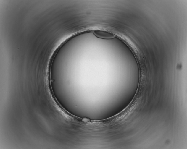 X0000099520902200805291208