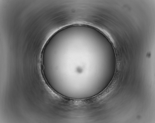 X0000099520903200805291208