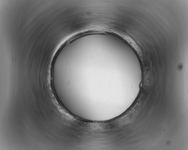 X0000099520904200805291208