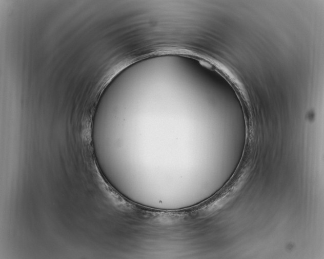 X0000099520905200805291208