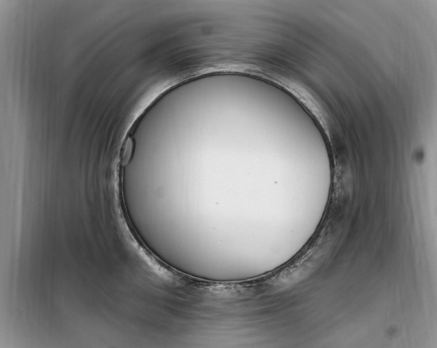 X0000099520906200805291208